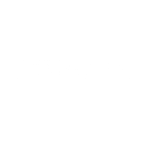 pny logo
